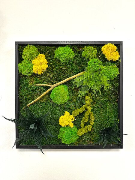 Mechový obraz mini nature Velikost: 20x20cm