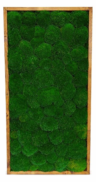 Mechový obraz - Kopečkový mech apple Druh rámu: 90x30cm