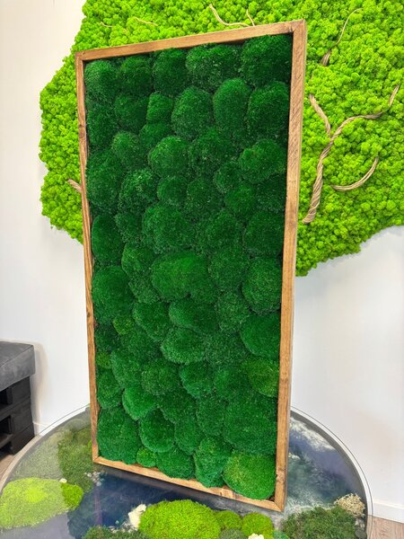 Mechový obraz - Kopečkový mech apple Druh rámu: 90x30cm