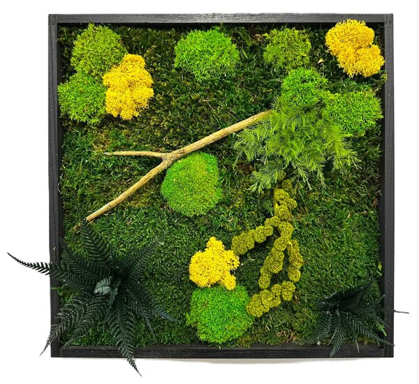 Mechový obraz mini nature Velikost: 20x20cm