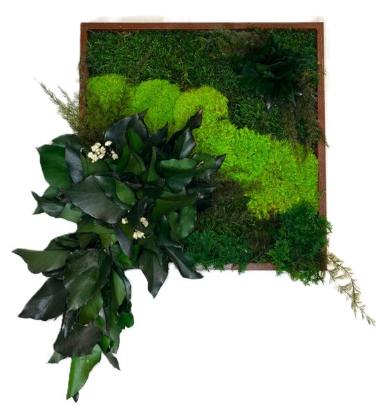 Mechový obraz s rostlinami 3D - čtverec Velikost: 20x20cm