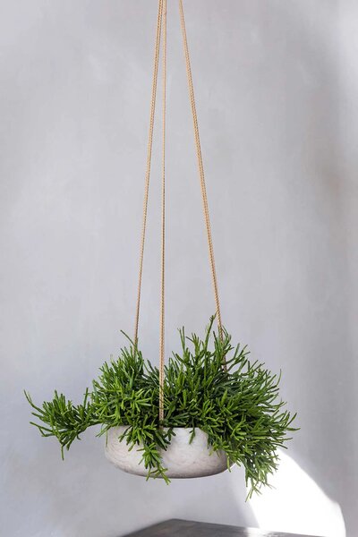 Dekorační miska PERA, sklolaminát, Ø 24 cm, béžová