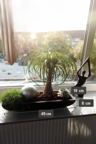 Miska na květiny ZOEY, sklolaminát, šířka 49 cm, antracit