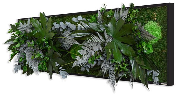 Rostlinný obraz s designem Džungle 140x40, Dřevěný rám (černý)