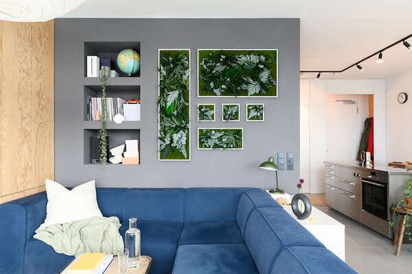 Rostlinný obraz s designem Džungle 22x22