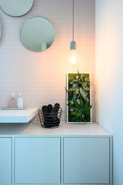 Rostlinný obraz s designem Džungle 57x27