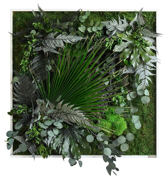Rostlinný obraz s designem Džungle 80x80, Dřevěný rám (bílý)