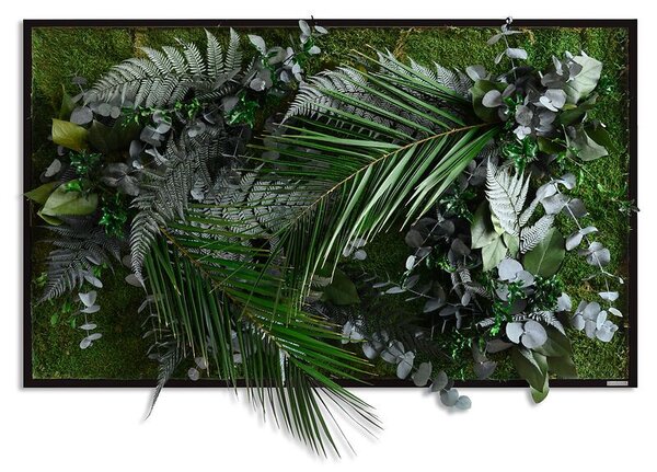 Rostlinný obraz s designem Džungle 100x60, Dřevěný rám (černý)
