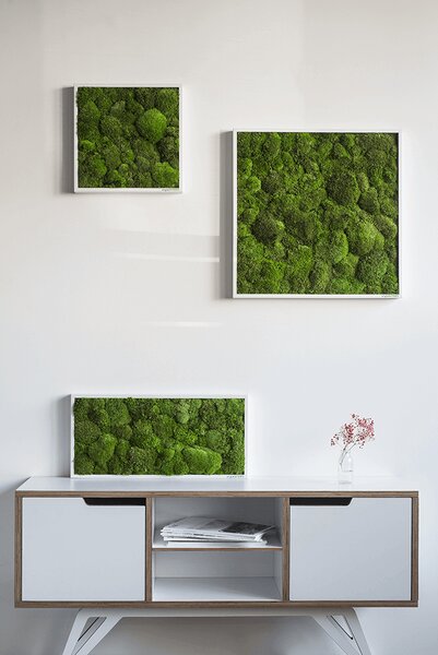 Mechový obraz z kopečkového mechu 55x55