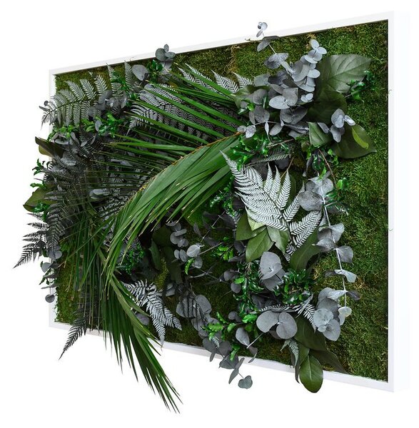 Rostlinný obraz s designem Džungle 100x60, Dřevěný rám (bílý)