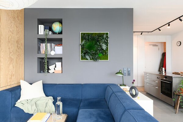 Rostlinný obraz s designem Džungle 80x80, Dřevěný rám (bílý)