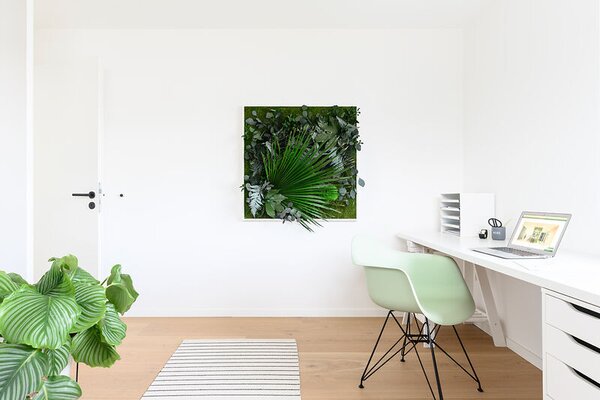 Rostlinný obraz s designem Džungle 80x80, Dřevěný rám (bílý)