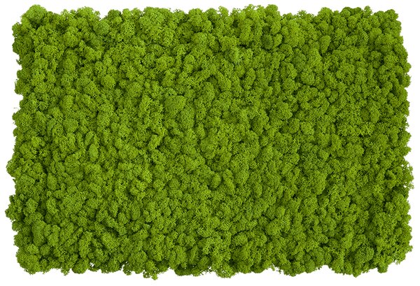 Flexi panel z islandského mechu - May green 2ks 100x60