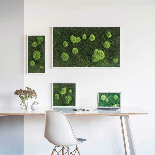 Mechový obraz z kopečkového a lesního mechu 35x35