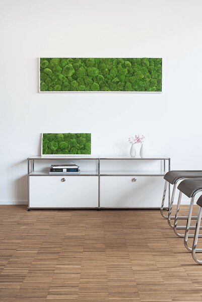 Mechový obraz z kopečkového mechu 140x40, Dřevěný rám (bílý)