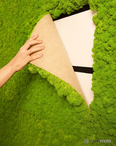 Flexi panel z islandského mechu - May green 2ks 100x60
