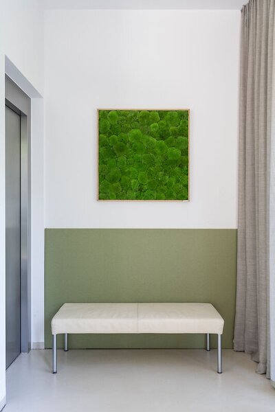 Mechový obraz z kopečkového mechu 80x80, Dřevěný rám (dub)
