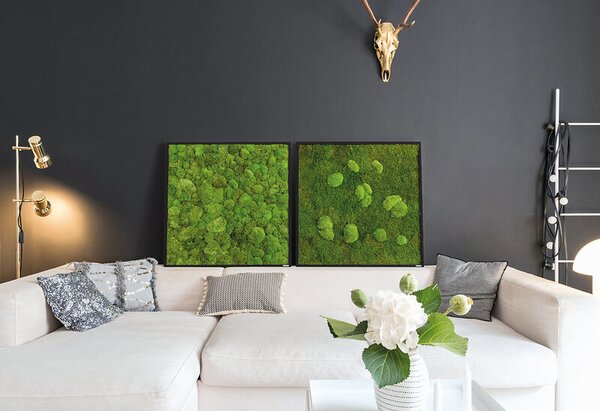 Mechový obraz z kopečkového mechu 80x80, Dřevěný rám (černý)
