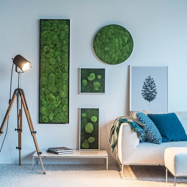 Mechový obraz z kopečkového mechu 140x40, Dřevěný rám (bílý)