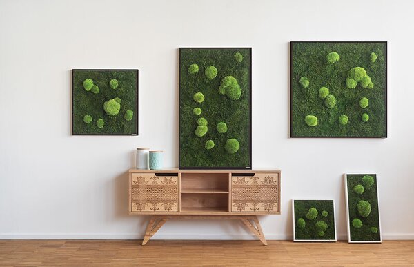 Mechový obraz z kopečkového a lesního mechu 55x55
