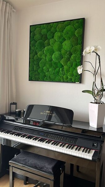Mechový obraz z kopečkového mechu 80x80, Dřevěný rám (černý)