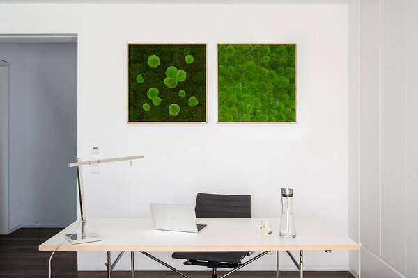 Mechový obraz z kopečkového a lesního mechu 80x80, Dřevěný rám (dub)