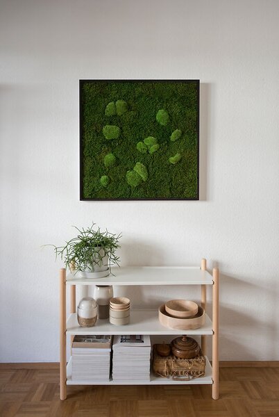 Mechový obraz z kopečkového a lesního mechu 80x80, Dřevěný rám (černý)