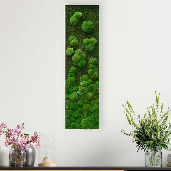 Mechový obraz přechodu kopečkového a lesního mechu 140X40, Dřevěný rám (bílý)