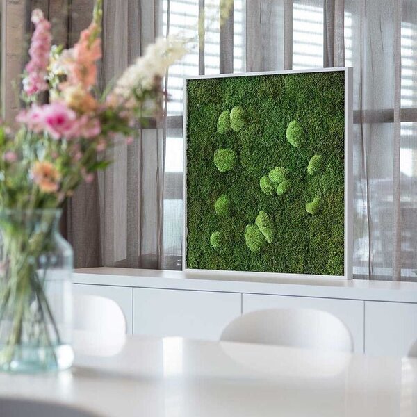 Mechový obraz z kopečkového a lesního mechu 80x80, Dřevěný rám (bílý)