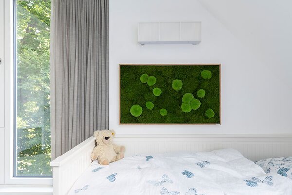 Mechový obraz z kopečkového a lesního mechu 100x60, Dřevěný rám (dub)