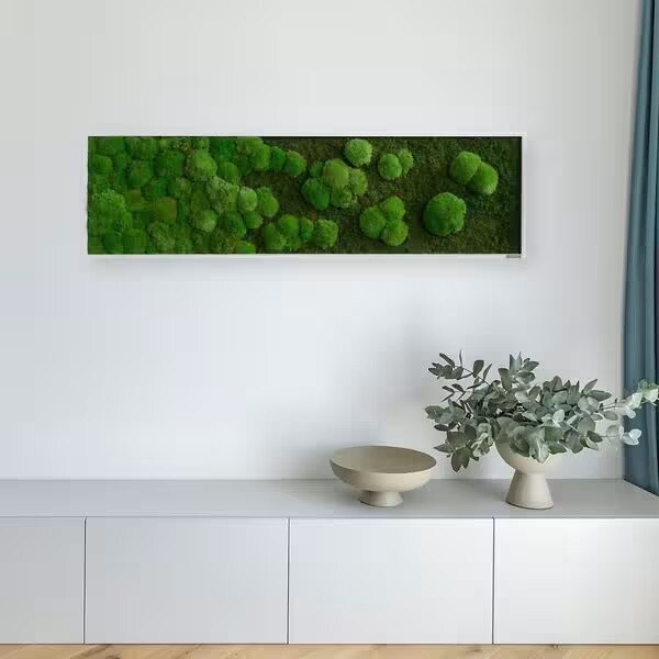 Mechový obraz přechodu kopečkového a lesního mechu 140X40, Dřevěný rám (bílý)