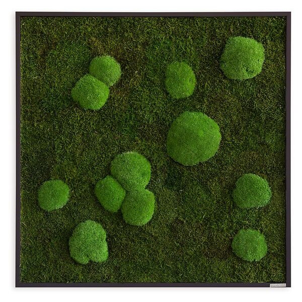 Mechový obraz z kopečkového a lesního mechu 80x80, Dřevěný rám (černý)