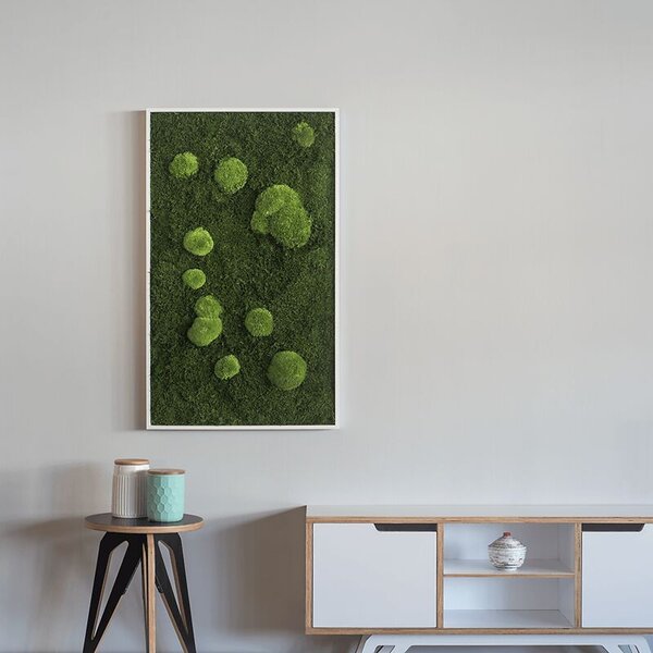 Mechový obraz z kopečkového a lesního mechu 100x60, Dřevěný rám (bílý)
