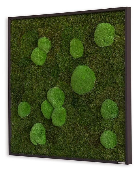 Mechový obraz z kopečkového a lesního mechu 80x80, Dřevěný rám (černý)