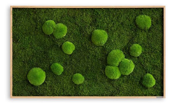 Mechový obraz z kopečkového a lesního mechu 100x60, Dřevěný rám (dub)