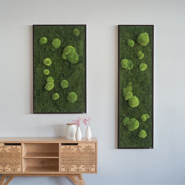 Mechový obraz z kopečkového a lesního mechu 140X40, Dřevěný rám (černý)