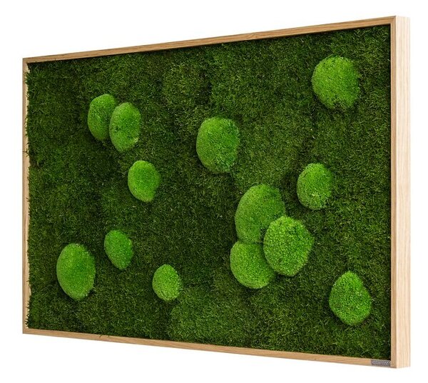 Mechový obraz z kopečkového a lesního mechu 100x60, Dřevěný rám (dub)