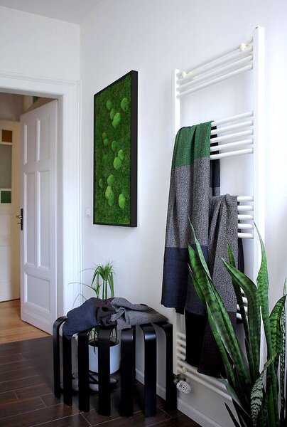 Mechový obraz z kopečkového a lesního mechu 100x60, Dřevěný rám (černý)