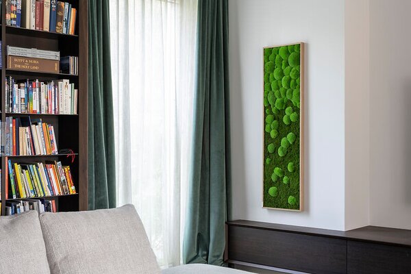 Mechový obraz přechodu kopečkového a lesního mechu 140X40, Dřevěný rám (dub)