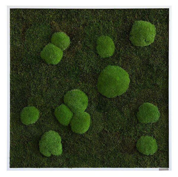 Mechový obraz z kopečkového a lesního mechu 80x80, Dřevěný rám (bílý)