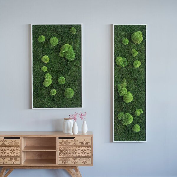 Mechový obraz z kopečkového a lesního mechu 100x60, Dřevěný rám (bílý)