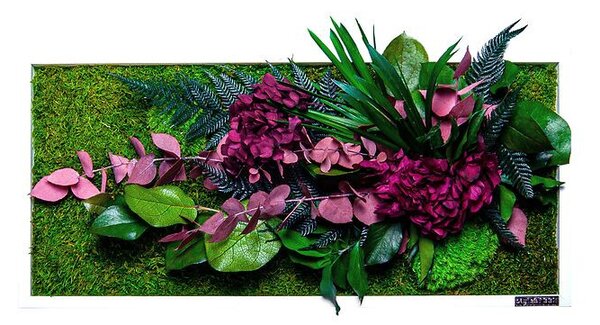 Rostlinný obraz s designem Džungle - červený 57x27