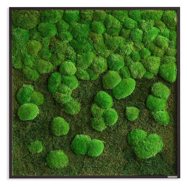 Mechový obraz kopečkového a lesního mechu - přechod 80x80, Dřevěný rám (černý)