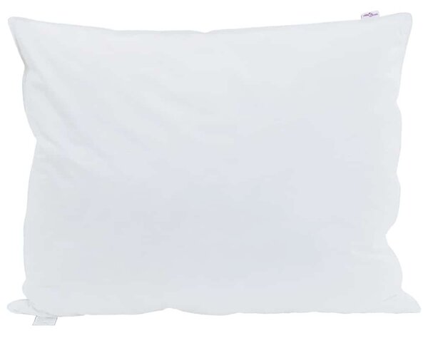 Polštář s polštářem 2 pcs Bílá 60 x 80 cm Peří