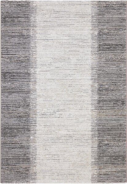 Moderní kusový koberec Ragolle Argentum 63849 9293 šedý Rozměr: 200x290 cm