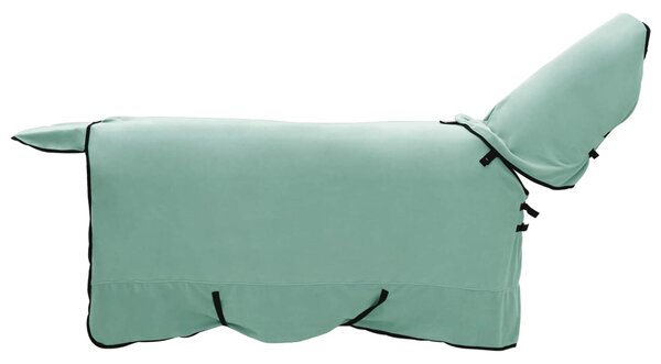 Deka pro koně Speciální zelená 145 cm Polyester