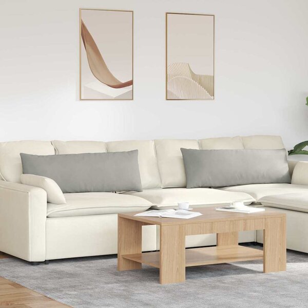 Pohovkové polštáře 2 pcs Světle šedá 120 x 40 cm textil