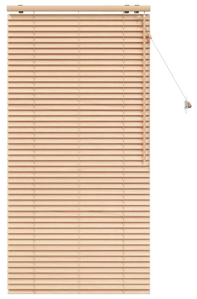 Venet školní žaluzie Vzhled dubu 70 x 160 cm 35 mm