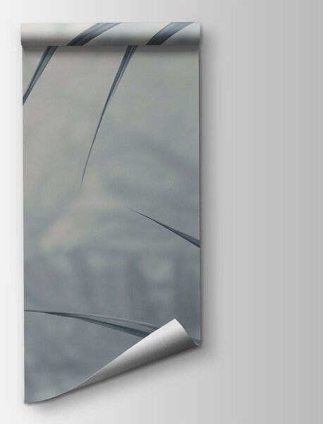 Fototapeta Jemné listy v tlumených odstínech, Přírodní fototapety, Populární fototapety, t00793v2 - Tapeko.co.cz