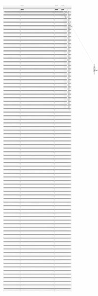 Venet školní žaluzie Bílá 55 x 250 cm 35 mm Masivní paulovnie